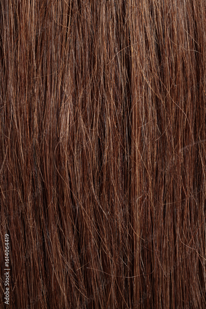 Naklejka premium brunette hair, brown long dull tangled hair with split ends, macro hair texture