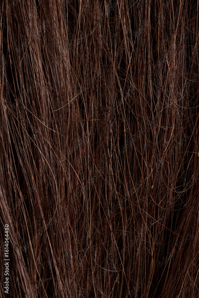 Naklejka premium brunette hair, brown long dull tangled hair with split ends, macro hair texture