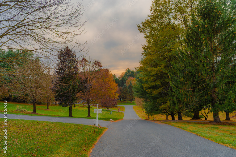 Obraz premium Autumn Road Serenity