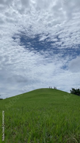 Wallpaper Mural 丘を駆け降りる子どもと大きな空（縦動画・手持ち） Torontodigital.ca