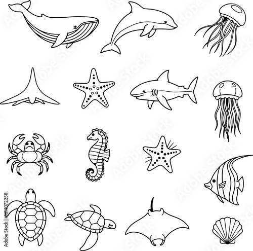 Silhouette of sea animals whale dolphin jellyfish starfish vector illustrator