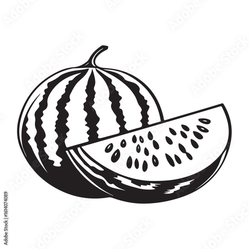 vector illustration of a watermelon