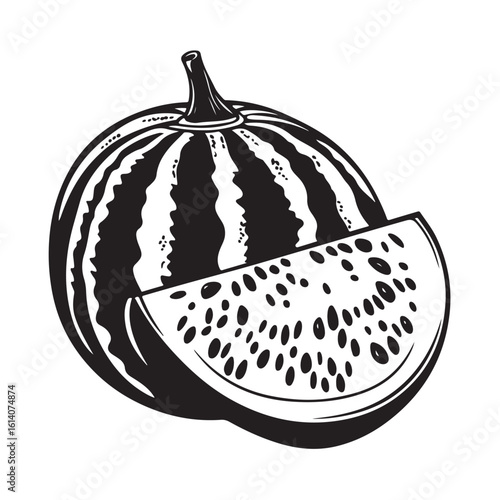vector illustration of a watermelon