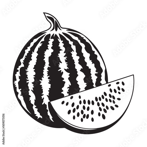 vector illustration of a watermelon