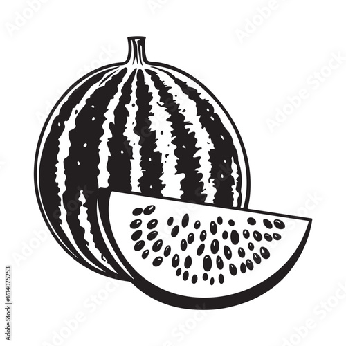 vector illustration of a watermelon