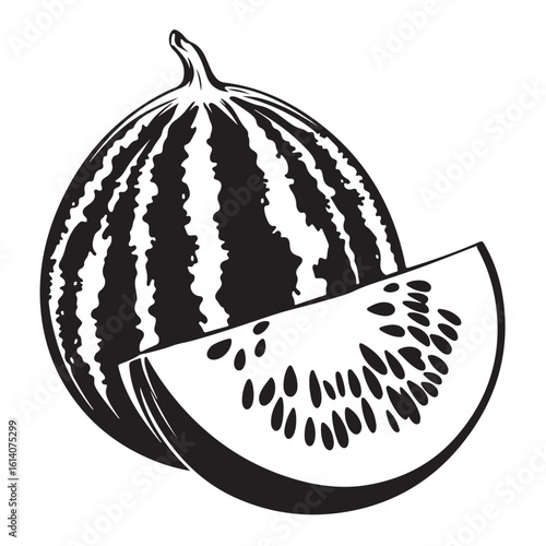 vector illustration of a watermelon
