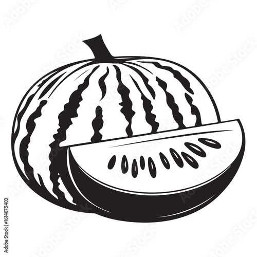 vector illustration of a watermelon