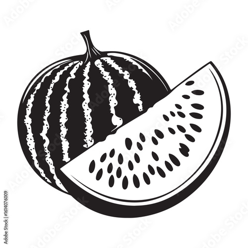 vector illustration of a watermelon