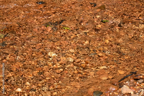 clear water and rocks