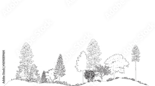 Architectural Drawings, Minimal style cad tree line drawing, Side view, set of section wetland forest outline for landscape design drawing. Vector illustration in seperate element