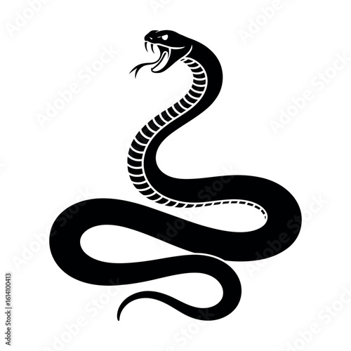 Black viper snake coiled with fangs and forked tongue exposed cobra serpent