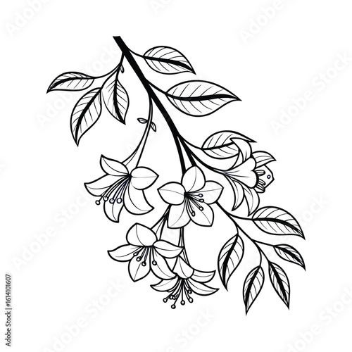 Elegant hanging flower garland line art for decorative design projects