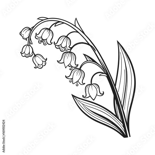 Elegant lily of the valley stem line art floral design