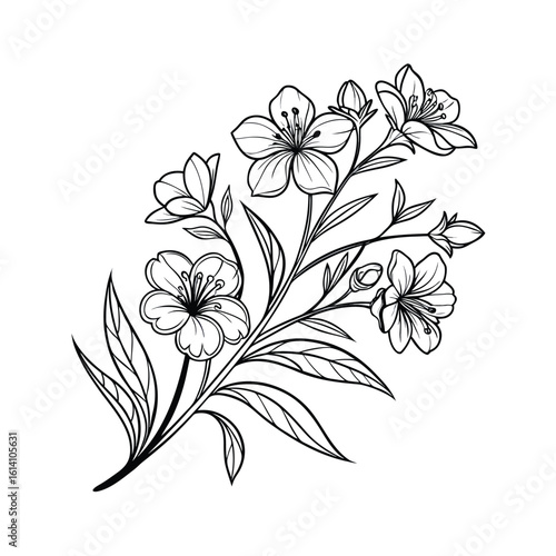 Elegant vintage botanical flower sketch with delicate line art on a clean white background