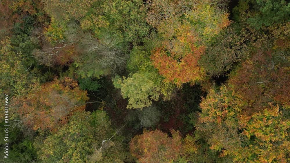 Aerial Video of a beautiful footpath in the autumn in Abergavenny town in Wales UK Aerial Video of a beautiful footpath in the autumn in Abergavenny town in Wales UK