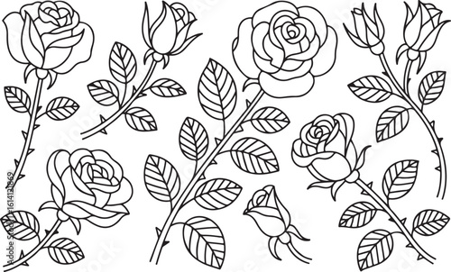 Various roses with leaves and thorns flower flowers