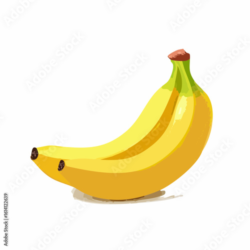 Bananes en gros plan, fond blanc, jolie illustration