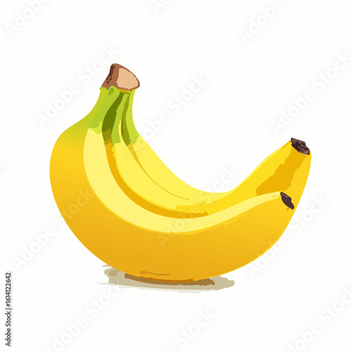 Bananes en gros plan, fond blanc, jolie illustration