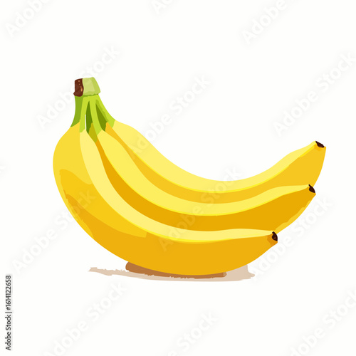 Bananes en gros plan, fond blanc, jolie illustration