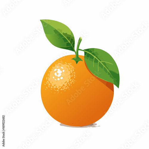 Une jolie Orange en gros plan 