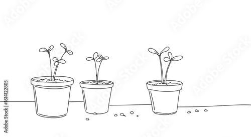 Minimalist black and white sketch of potted seedlings in a row