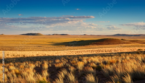 serene steppe grassland in argentina with long shadows illustrating seasonal transition