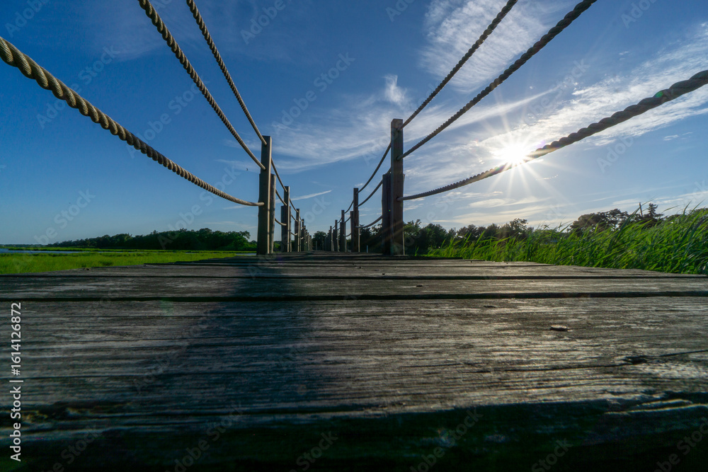 Obraz premium Roped In