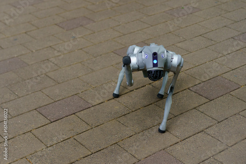 Robotic quadruped walking on patterned pavement in a modern urban environment during daylight