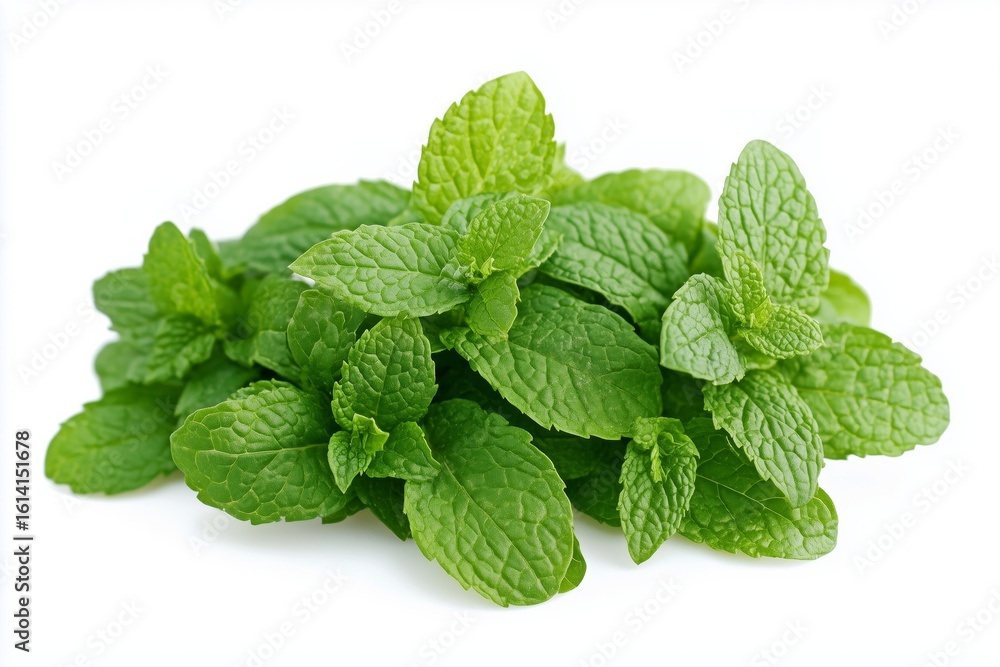 Fresh peppermint leaves arranged in a vibrant pile on a clean white background showcasing their rich green color and natural texture Fresh peppermint leaves arranged in a vibrant pile on a clean white background showcasing their rich green color and natural texture