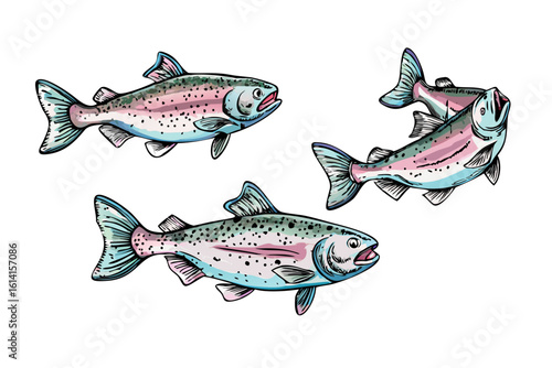 Three stylized colorful trout fish swimming on a black background with a watercolor effect