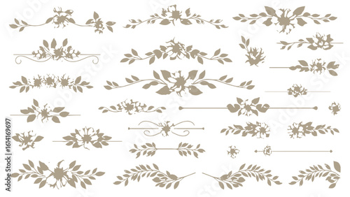 Elegant Floral Design Elements
