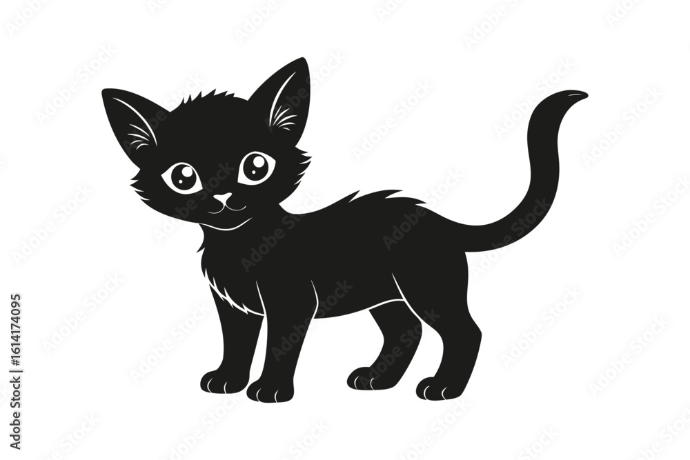black and white cat black and white cat