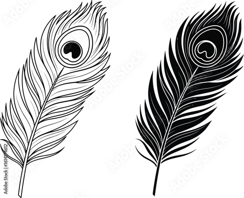 Two peacock feathers one in outline and one filled in black on a white background