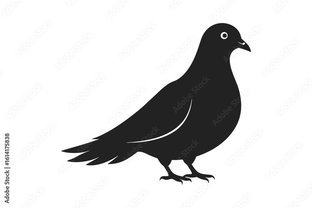 Fototapeta premium pigeon silhouette isolated on white