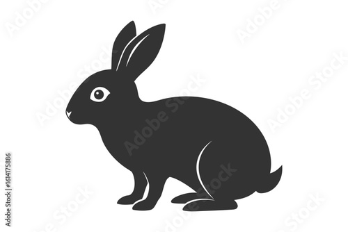 vector illustration of a rabbit