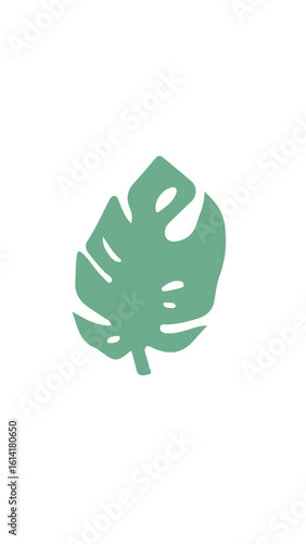 hoja 