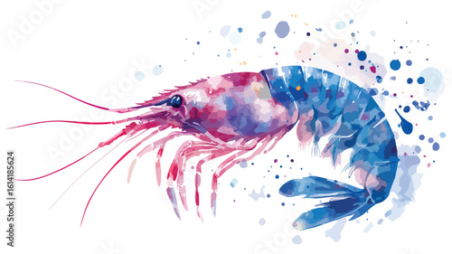 Colorful shrimp watercolor illustration