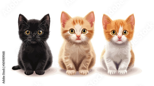 Three Kittens on White Background
