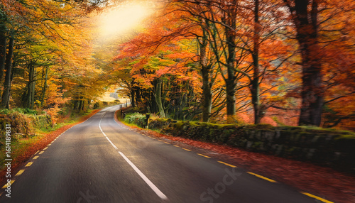 fall in ireland enchanting autumn scene of irish road through forest