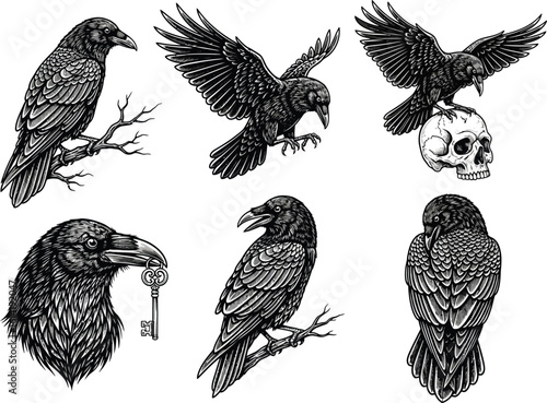 Mystic raven illustration set. Gothic crow tattoo art with skull and key.
