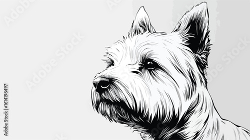 West Highland White Terrier Portrait