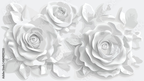 White Roses Relief Pattern Petal Plant