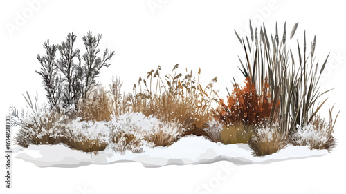 Serene Winter Landscape Photography