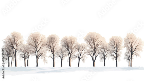 Serene Winter Forest Scene Photography
