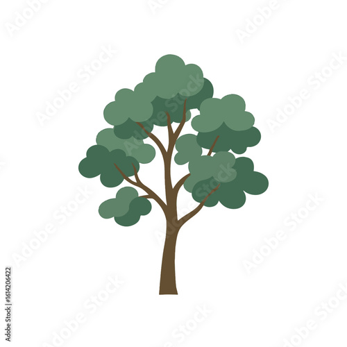 tree Eucalyptus illustration vector on white background
Vector illustration on white background flowers