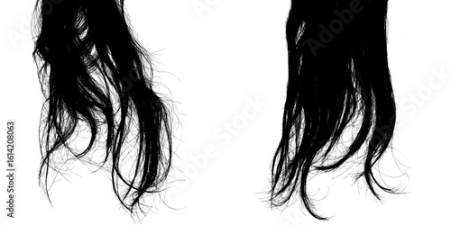 Curved Lock of Natural Black Hair Blown by Wind With Smooth Texture and Realistic Wig Sample Isolated on a Transparent or White Background
