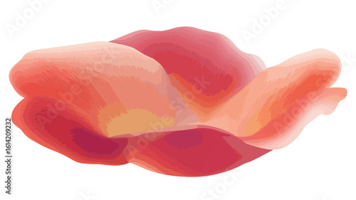 Valentine Rose Petal Close-Up Shot
