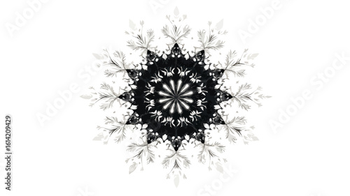 Festive Snowflake Wide Angle Christmas Image
