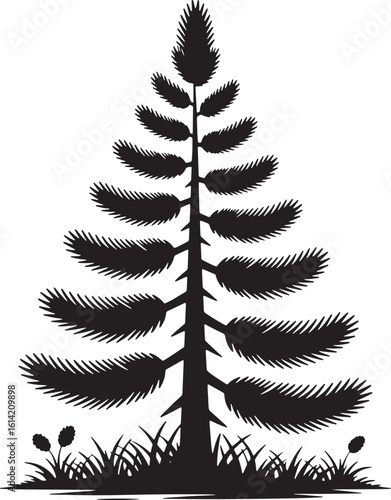 Silhouette of a tall evergreen tree with layered branches and grassy foreground black and white nature