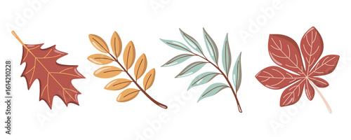 Autumn leaves set with maple, chestnut and botanical branches. Vector isolated illustration on white background.